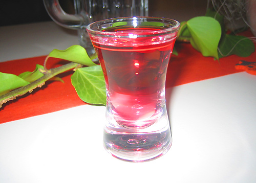 Freundschaftstreffen in Zeitlarn