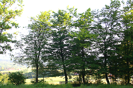 Maiandacht in Lichtenberg