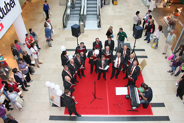 dm-s�ngerwette mit MGV Wald