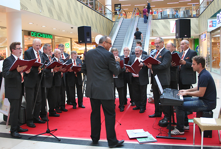 dm-s�ngerwette mit MGV Wald